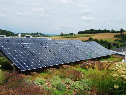 Green roof with photovoltaics